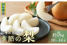 ＜品種おまかせ＞季節の梨約5kg(10～16玉入り )豊水・秋月・新興【梨 なし ナシ フルーツ 果物 果実 贈答 ギフト おすすめ 人気 おまかせ 福岡県 筑前町 送料無料 AK003】