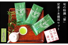 許斐本家14代目おススメの旬の特撰八女茶「翠」３本定番徳用セット【八女茶老舗　創業300年余】（ご自宅用）【銘茶 福岡銘茶 お取り寄せ 茶 お茶 おちゃ 八女茶 人気 おすすめ ソフトドリンク 飲料 常温 送料無料 CX001】