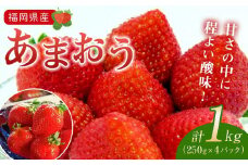 福岡県産あまおう1kg（250g×4パック）【いちご イチゴ 苺 あまおう フルーツ 博多あまおう くだもの あまおういちご 福岡県産いちご 果物 いちご 苺 食品 人気 おすすめ 送料無料 AE003】