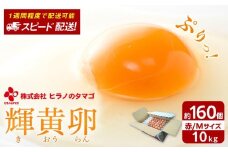 ヒラノのたまご 輝黄卵(きおうらん)赤Mサイズ10kg(160個前後)【卵 たまご タマゴ 生卵 生たまご 鶏卵 たまご 卵 国産 たまご 卵 タマゴ 鶏卵 たまごやき 卵かけご飯 卵焼き ゆでたまご たまご 新鮮 直送 朝ごはん 卵かけごはん AJ001】