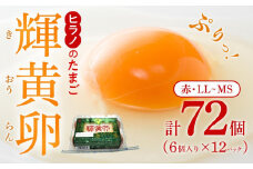 ヒラノのたまご 輝黄卵（きおうらん）72個（6個入り×12パック）【卵 たまご タマゴ 生卵 鶏卵 卵 国産 たまご 卵 玉子 タマゴ 鶏卵 たまごやき 卵かけご飯 卵焼き たまご 新鮮 直送 朝ごはん 卵かけごはん AJ006】