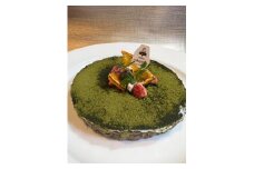 鹿肉のタルトケーキ風green（犬用）12cm【ペットフード ペット 動物 犬 餌 エサ 小型犬 愛犬 愛犬家 愛犬用 おやつ デザート 手作り タルト ケーキ 鹿肉 鹿 肉  健康 おやつ 犬用 ペット用 ご褒美 福岡県 筑前町 ふるさと納税 冷凍 送料無料 CH020】