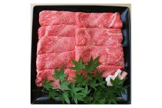 博多和牛 上スライスすき焼き用  (450g) A4等級以上【博多和牛 牛肉 肉 国産 にく スライス すきやき すき焼き 牛肉 肉 リピート 人気 和牛 国産 A4以上 AP002】 