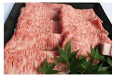 博多和牛 特選スライス すき焼き用(450g) A4等級以上【博多和牛 牛肉 肉 国産 にく スライス 特選 すきやき すき焼き 牛肉 肉 リピート 人気 和牛 国産 A4以上 AP003】 