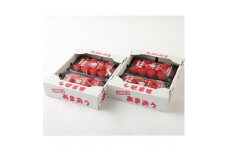 ふくおかエコ農産物認証!! あまおう 約1140g 約285g×4パック【 いちご 苺 イチゴ フルーツ 果物 福岡県産 あまおう 大粒 人気 あまおう 認証あまおう 福岡県あまおう 福岡県 筑前町 送料無料 DG001】