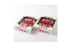 【先行予約 2026年1月以降発送】ふくおかエコ農産物認証!! あまおう 約1140g 約285g×4パック【 いちご 苺 イチゴ フルーツ 果物 福岡県産 あまおう 大粒 人気 あまおう 認証あまおう 福岡県あまおう 福岡県 筑前町 送料無料 DG001】