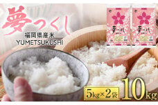 【令和6年産】 福岡県産 夢つくし 10kg セット ( 5kg×2袋 )【米 お米 精米 ブランド米 白米 ご飯 ごはん 夢つくし ライス 10ｷﾛ 10kg 備蓄米 便利 福岡県産 旬 おにぎり お弁当 食品 ふるさと納税 筑前町 福岡県 送料無料 DT001】