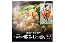 九州名物とめ手羽　博多もつ鍋セット　5-6人前　九州しょうゆ味 【九州名物 とめ手羽 博多もつ鍋 2-3人前 九州しょうゆ味 国産牛 小腸 とろける食感 ほのかな甘み 脂身の甘さ 濃縮スープ ちゃんぽん麺 鷹の爪 にんにく 冷凍保存 消費期限 保存方法 特製だし スープ 昆布 醤油 お取り寄せ もつ鍋セット 人気 おすすめ 筑前町 ふるさと納税 送料無料 BW002】