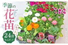 季節の花苗24セット【花苗 花苗セット 花 季節の花 花セット ガーデニング 家庭菜園 園芸 初夏 夏 花壇 庭 鉢 玄関 プランター 寄せ植え  おうち時間 趣味 ベランダ 土っ子倶楽部 プレゼント ギフト 】
