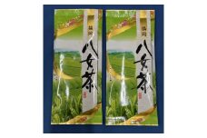 【定期便6回】八女茶　煎茶セット　100g×2袋