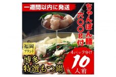 「10人前！」博多特選もつ鍋(プリプリの国産牛小腸のみ使用・醤油味）福岡ブランド【1週間以内に発送！】
