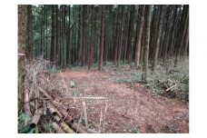 アウトドアキャンパー向け森林レンタル（フォレンタ筑前キャンプエリア）