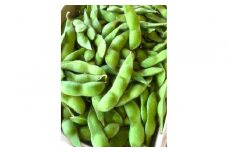筑前クロダマルの枝付枝豆　約4kg　
