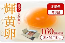 【定期便3回】ヒラノのたまご【輝黄卵(きおうらん)】赤Mサイズ10kg(160個前後)【卵 たまご タマゴ 生卵 生たまご 鶏卵 たまご 卵 国産 たまご 卵 タマゴ 鶏卵 たまごやき 卵かけご飯 卵焼き ゆでたまご たまご 新鮮 直送 朝ごはん 卵かけごはん AJ007】
