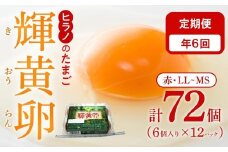 【定期便6回】輝黄卵（きおうらん）72個（6個入り×12パック）【卵 たまご タマゴ 生卵 生たまご 鶏卵 たまご 卵 国産 たまご 卵 タマゴ 鶏卵 たまごやき 卵かけご飯 卵焼き ゆでたまご たまご 新鮮 直送 朝ごはん 卵かけごはん AJ011】