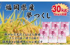 【令和7年産新米予約】【食味鑑定士厳選】福岡県産 夢つくし30kg (5kg×6袋)【精米 お米 米 ご飯 ごはん ブランド ブランド米 夢つくし 食品 ふるさと納税 人気 おすすめ 送料無料 炊飯 炊飯器 福岡 福岡県産 筑前 筑前町 】