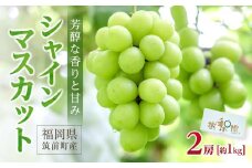 シャインマスカット 約1kg（2房)【数量限定 シャインマスカット ぶどう ブドウ 葡萄 フルーツ 果物 くだもの さっぱり上品 人気 2房 先行予約 ギフト 贈答用 プレゼント 贈り物】