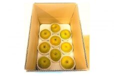  【産地直送】筑前町の豊かな自然の中で育まれた梨　約3kg(5玉～9玉)