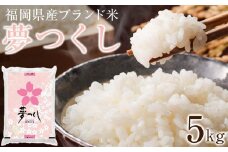 ＜令和7年産＞福岡県産ブランド米「夢つくし」白米5kg【米 ブランド米 ブランド 白米 夢つくし 令和7年産 家庭用  お取り寄せ お土産 福岡県産 取り寄せ グルメ 福岡県 筑前町 CE011】