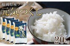 ＜令和7年産＞福岡県産ブランド米「元気つくし」白米20kg ＜筑前町＞【米 ブランド米 ブランド 白米 元気つくし 令和7年産 20kg 20キロ 家庭用  お取り寄せ お土産 福岡県産 取り寄せ グルメ 福岡県 筑前町 CE002】