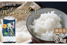 ＜令和7年産＞福岡県産ブランド米「元気つくし」無洗米5kg 【米 ブランド米 ブランド 白米 無洗米 元気つくし 令和7年産 家庭用  お取り寄せ お土産 福岡県産 取り寄せ グルメ 福岡県 筑前町 CE013】