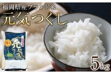 ＜令和7年産＞福岡県産ブランド米「元気つくし」白米5kg 【米 ブランド米 ブランド 白米 元気つくし 令和7年産 家庭用  お取り寄せ お土産 福岡県産 取り寄せ グルメ 福岡県 筑前町 CE014】