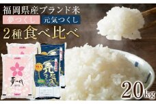 ＜令和7年産＞福岡県産米食べ比べ 白米セット「夢つくし」「元気つくし」2種類　計20kg 【米 ブランド米 ブランド 白米 元気つくし 夢つくし 令和7年産 家庭用  お取り寄せ お土産 福岡県産 取り寄せ グルメ 福岡県 筑前町 CE032】