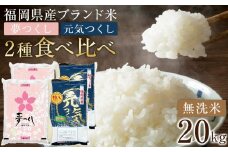 ＜令和7年産＞福岡県産米食べ比べ 無洗米セット「夢つくし」「元気つくし」2種類　計20kg 【米 ブランド米 ブランド 白米 無洗米 元気つくし 夢つくし 令和7年産 家庭用  お取り寄せ お土産 福岡県産 取り寄せ グルメ 福岡県 筑前町 CE033】
