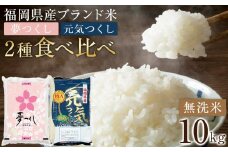 ＜令和7年産＞福岡県産米食べ比べ＜無洗米＞「夢つくし」と「元気つくし」セット　計10kg 【米 ブランド米 ブランド 白米 無洗米 元気つくし 夢つくし 令和7年産 家庭用  お取り寄せ お土産 福岡県産 取り寄せ グルメ 福岡県 筑前町 CE060】