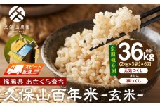 【特別栽培米】久保山百年米-玄米(2kg×3袋)計6kg【定期便6回】【精米 お米 米 ご飯 ごはん ブランド 減農薬 減化学肥料 元気つくし 夢つくし 小分け 包装 ギフト 贈答用 プレゼント 食品 ふるさと納税 炊飯 炊飯器 福岡 福岡県産 筑前 筑前町 】