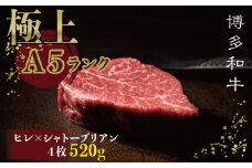 2V7 【極上博多和牛A5等級】ヒレ×シャトーブリアンステーキ 520g