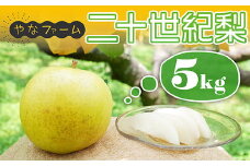 Q1 【やなファーム】二十世紀梨 5kg
