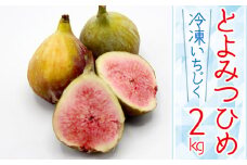 2J8 【福岡県産】冷凍とよみつひめ（イチジク）　2ｋｇ（1kg×2）
