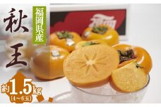 3V18 福岡限定!ブランド柿「秋王(あきおう)」約1.5kg(4-6玉)