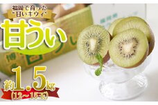 3V20 福岡限定!ブランドキウイ「甘うぃ(あまうぃ)」約1.5kg箱(12-15玉)