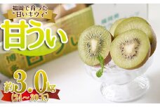 3V21 福岡限定!ブランドキウイ「甘うぃ(あまうぃ)」約3kg箱(24-30玉)