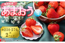 3V1 【冬】福岡産あまおう2パック