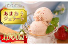 3V11 こだわり!福岡産あまおうジェラート1000ml