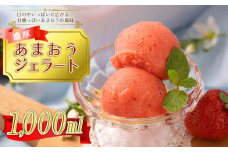 3V9 採れたて!福岡産濃厚あまおうジェラート 1000ml