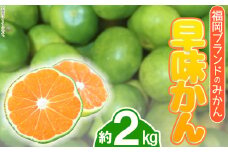 3V16 福岡ブランドみかん・早味かん約2kg