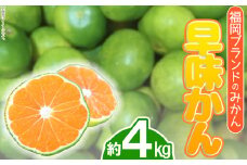 3V17 福岡ブランドみかん・早味かん約4kg