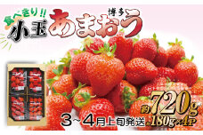 2J10 JAむなかた直送！食べきりサイズ「博多あまおう」約180g×4パック