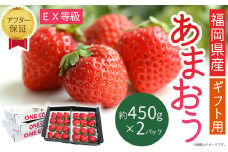 2S6 エコファーマー認定農家直送！福岡県産あまおうEXギフト【約450ｇ×2パック】