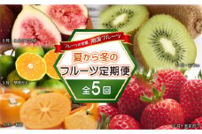 フルーツの老舗“南国フルーツ”の夏から冬のフルーツ定期便【全5回】 3V22