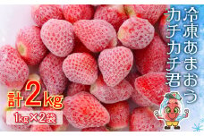 3S13 冷凍 あまおう カチカチ君 (1kg×2袋)