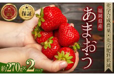 3S14 農家直送！特別栽培 あまおう 約270g × 2パック ふるさと納税 いちご イチゴ 苺 東峰村 果物 くだもの フルーツ ジャム にも ケーキ にも 先行予約 数量限定 ふるさと ランキング 人気 おすすめ 福岡