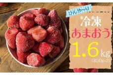 2J3-S 【冷凍】 博多 あまおう 1.6kg（800g×2袋）