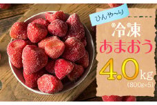 2J6-S 【冷凍】 博多 あまおう 4.0kg（800g×5袋）