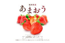 2S3 福岡県産あまおう【280g×2パック】
