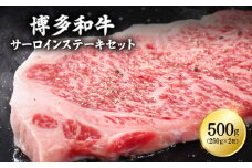 3G11-S1 博多和牛サーロインステーキセット　500ｇ（250ｇ×2枚）